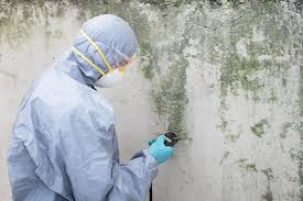 Why You Should Choose Our Mold Remediation Services in Gila Bend, AZ